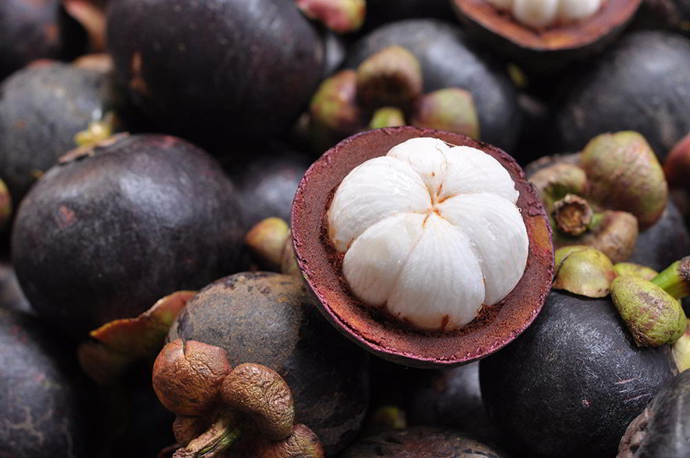 Razones para tomar Jugo de Mangostan